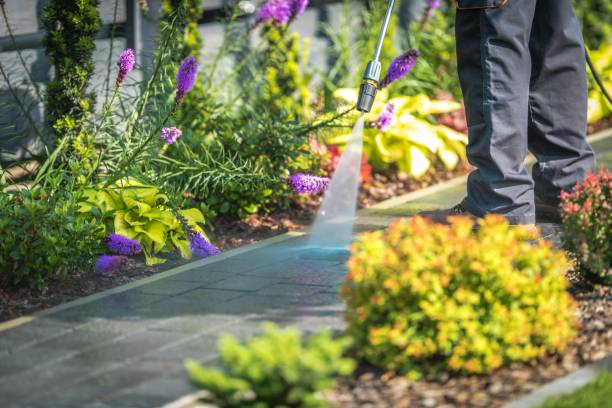 Best Fence Cleaning  in Dunkirk, NY